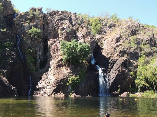 Swim in billabong litchfield national park