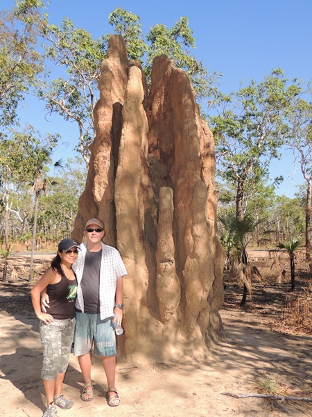 termite mounds Litchfield national park1